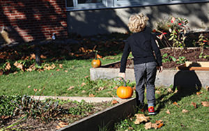 child with pumpkins